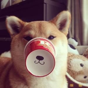 Meet your Posher, Naomi